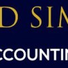 Dead Simple Accounting