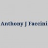 Anthony Faccini