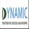 Dynamic Accountants