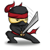 Accounts Ninjas