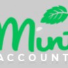 Mint Accountax