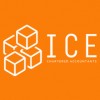 Ice Professional Services